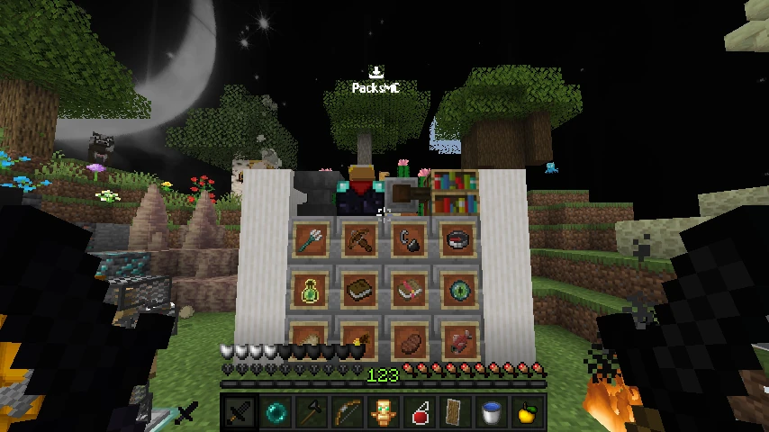 X_SUS: showcase 3 of 5