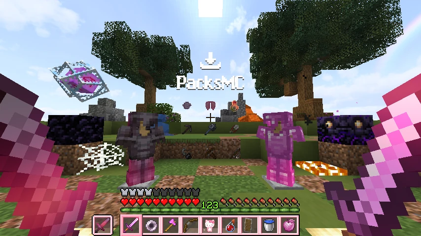 PINK_pack