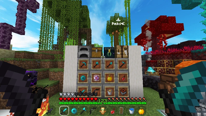 coast 16x: showcase 5 of 5