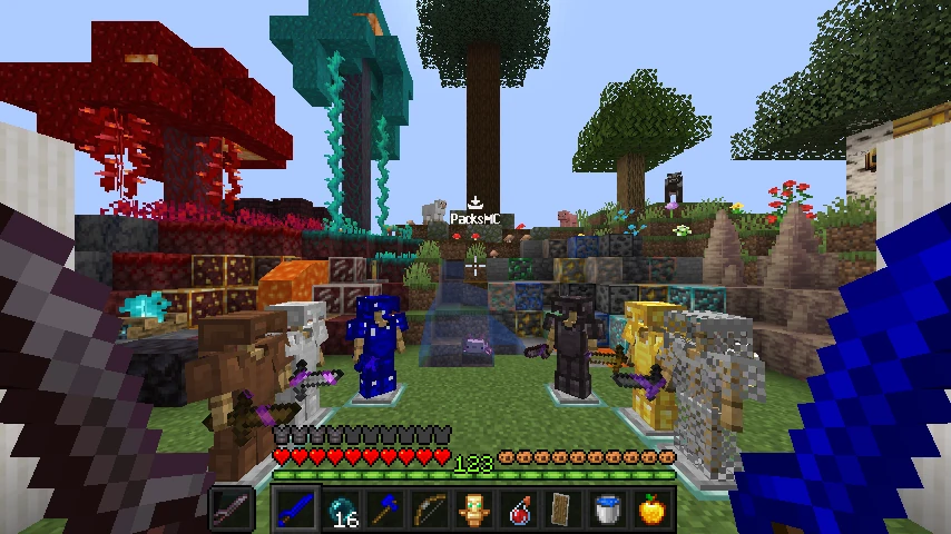 pirateV2: showcase 2 of 5