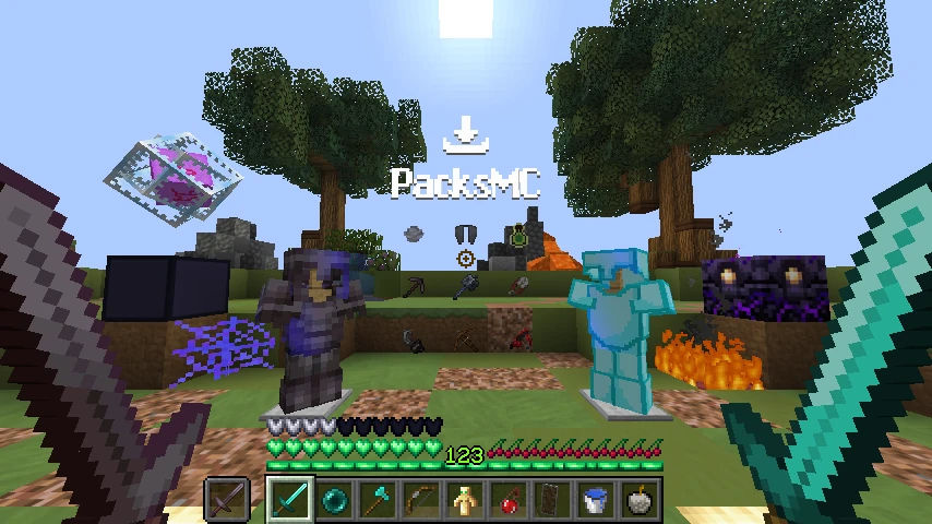 wexstyy pack