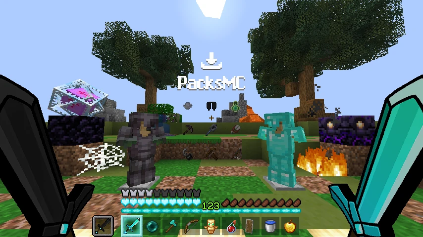 Ryney pack