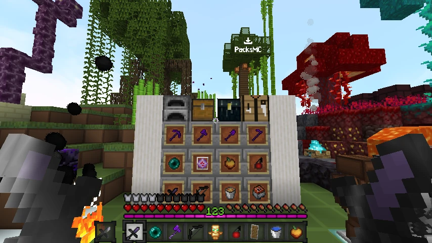 Shant pack v4 Purplegray v1.21.10: showcase 5 of 5