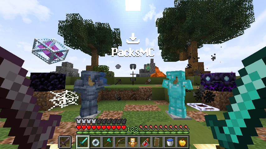 auroraprac private