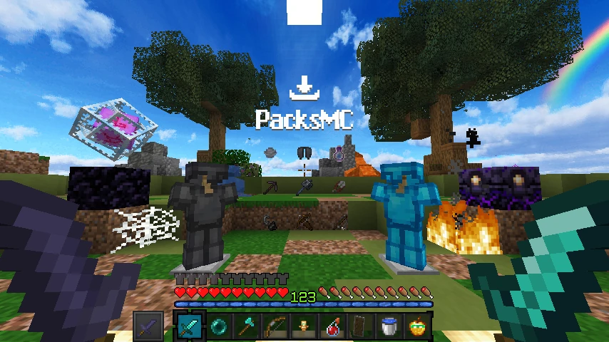 Swight pack